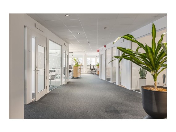 Sankt Eriksgatan 113