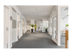 Sankt Eriksgatan 113