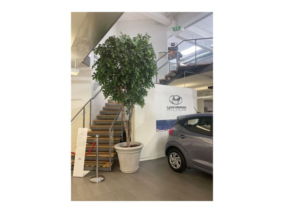 Murmästarvägen 17-19