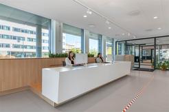 Theres Svenssons gata 13