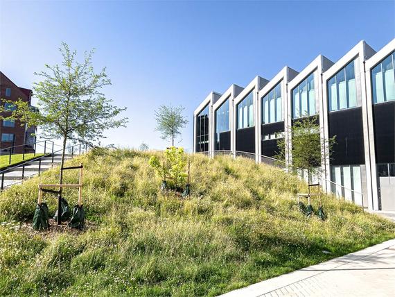 Marianne Richters torg 1