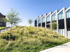 Marianne Richters torg 1