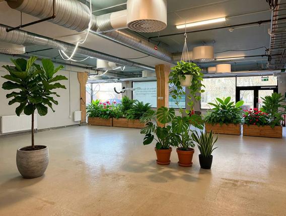 Tekla Thomassons gata 15