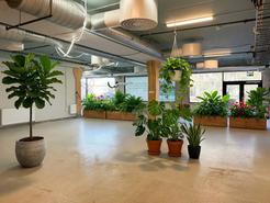 Tekla Thomassons gata 15