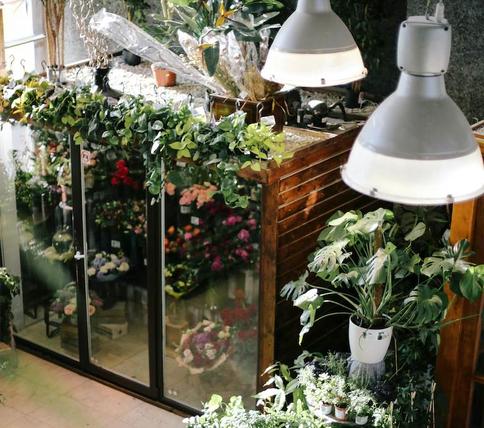 Wieselgrensplatsen 1