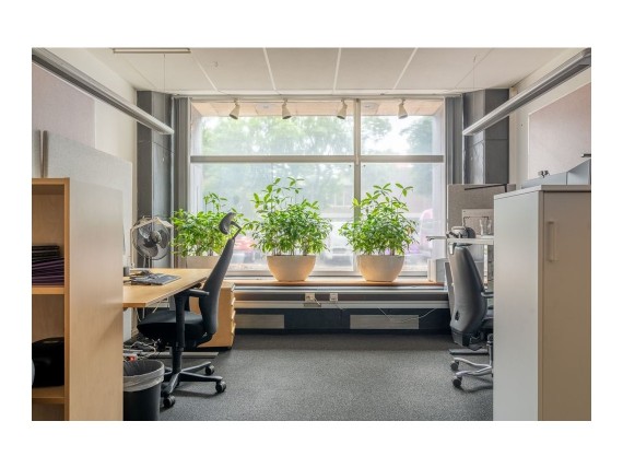 Carl Krooks Gata 5-7