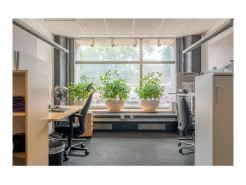 Carl Krooks Gata 5-7