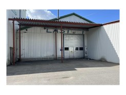 Ritarslingan 8
