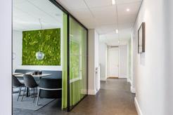 Första Långgatan 18